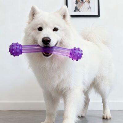 Granul TPU Ramah Lingkungan, Injeksi Cetakan Atau Ekstrusi, Digunakan Dalam Produk Seperti Mainan Hewan Peliharaan Dan Tali Melompat