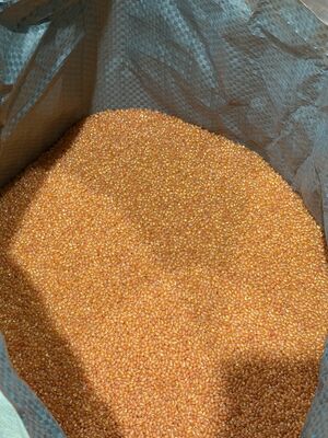 TPU berwarna oranye, stabil warna, ramah proses Thermoplastic Polyurethane untuk peralatan olahraga, casing telepon